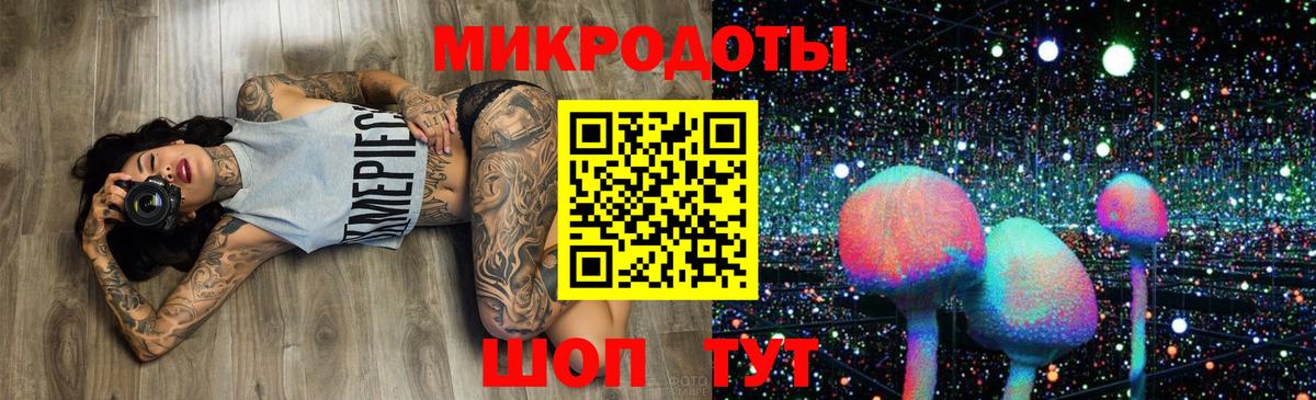 Белгород  Галлюциногенные грибы прущие грибы  Вход с VPN 